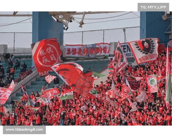 如何全面理解建业足球俱乐部的历史背景与发展性质